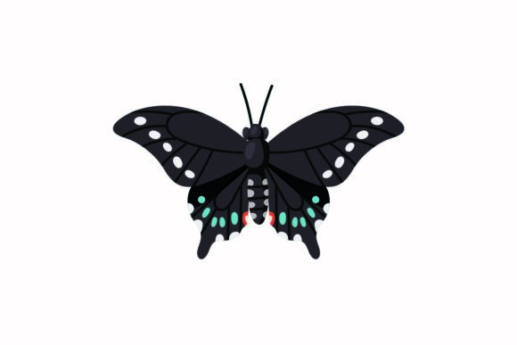 Butterfly Illustration Review: A Designer’s Perspective